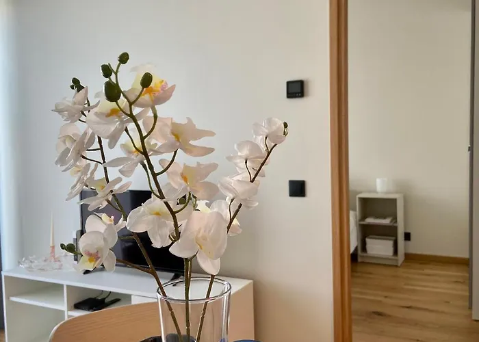 Rananiidu Korter * Pärnu